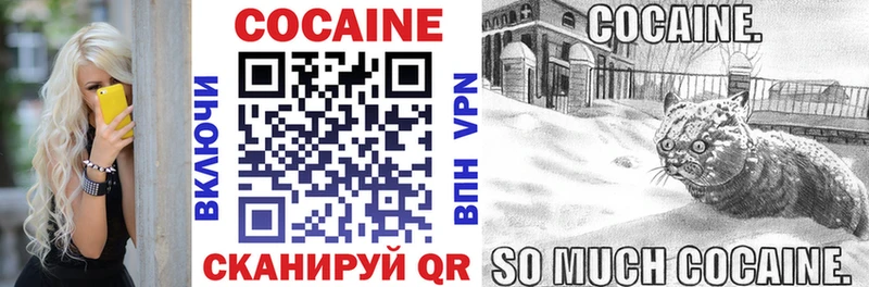 как найти закладки  Правдинск  КОКАИН FishScale 
